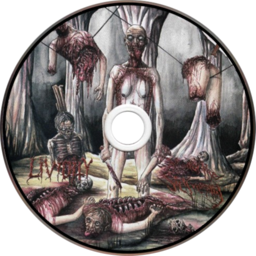 CDart Artwork