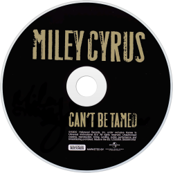 CDart Artwork