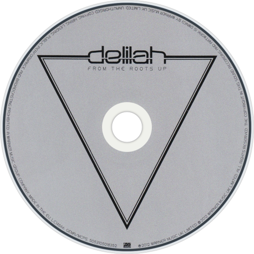 CDart Artwork