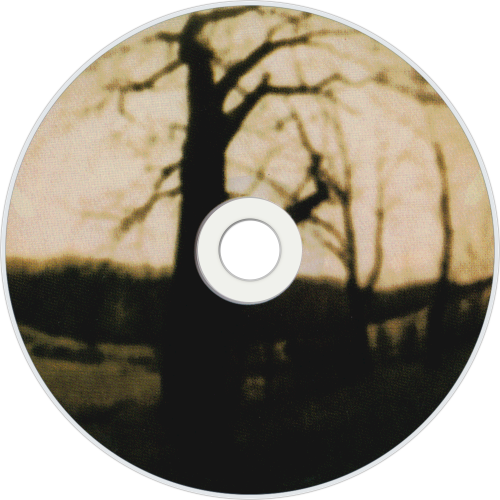 CDart Artwork