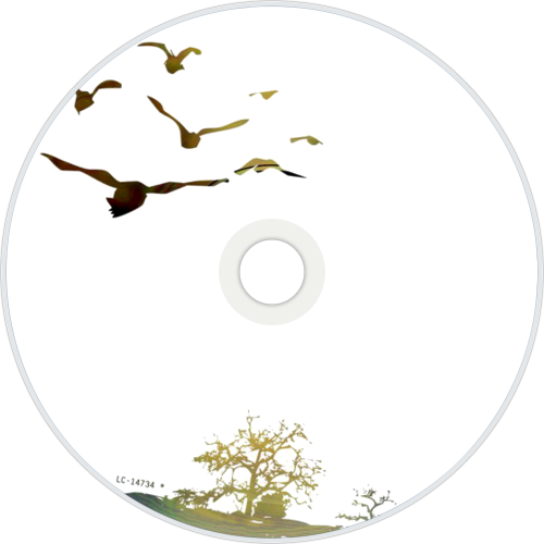 CDart Artwork
