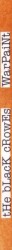 Album Spine