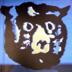 Album Thumb