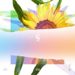 Album Thumb