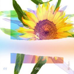 Album Thumb