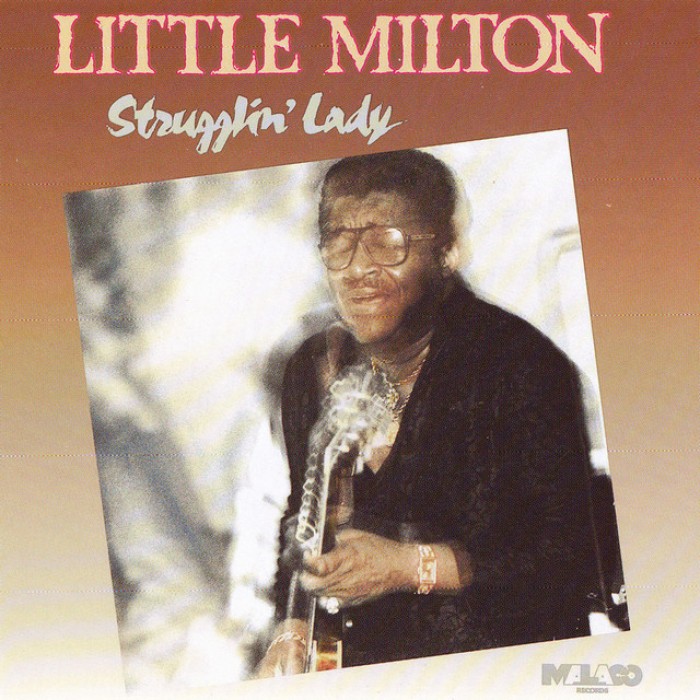 Strugglin' Lady cover