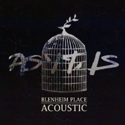 Album Thumb