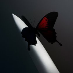 Album Thumb