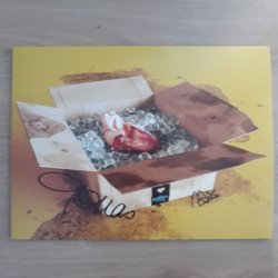 Album Thumb