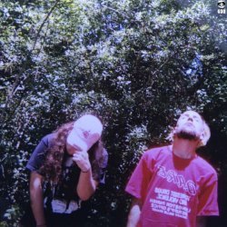 Album Thumb