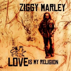 Ziggy Marley | TheAudioDB.com