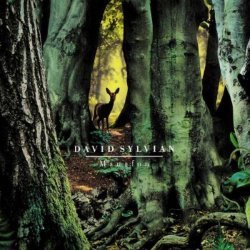 Cover Present album thumb