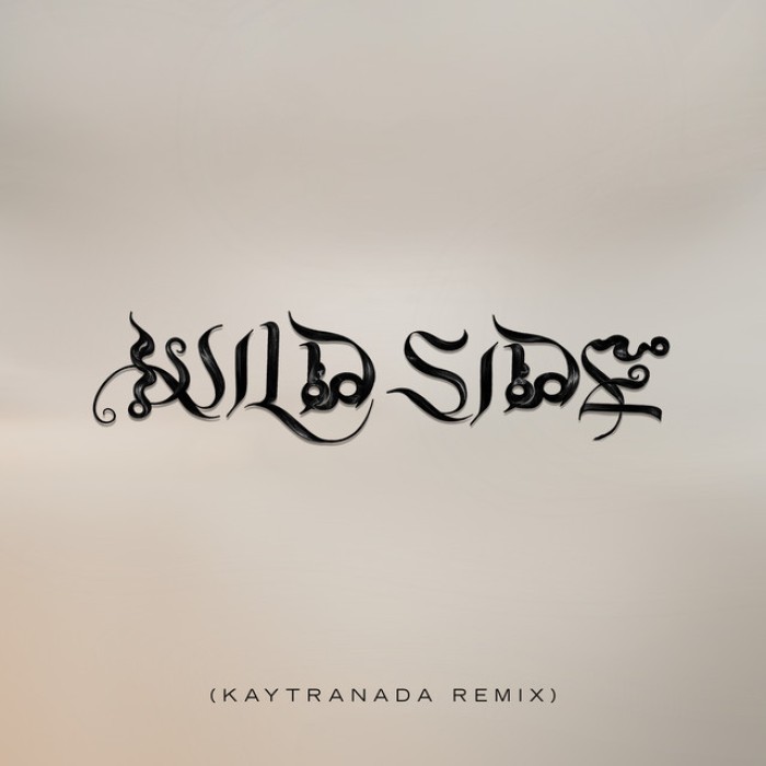 Wild Side (KAYTRANADA Remix) cover