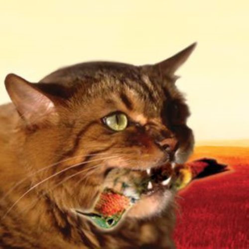 album thumb