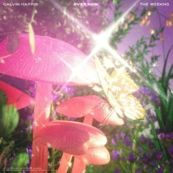 Album Thumb