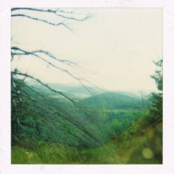 Album Thumb