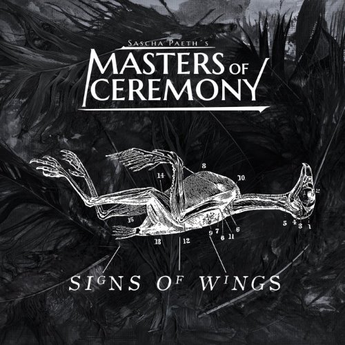 Signs of Wings album thumb