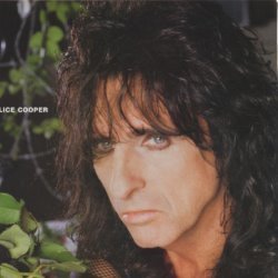 Album Thumb
