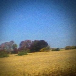 Album Thumb