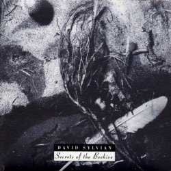 Cover Present album thumb