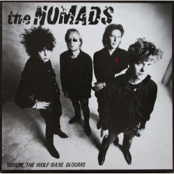 Album Thumb