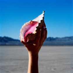 Album Thumb