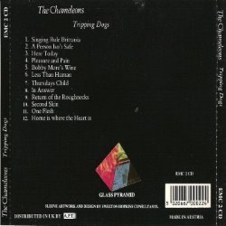 Album Thumb