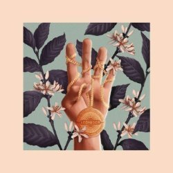 Album Thumb