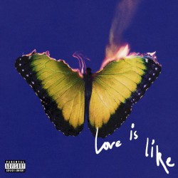 Album Thumb