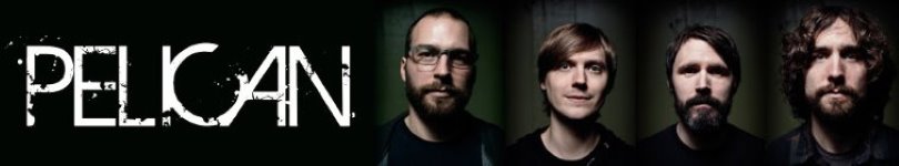 artist banner