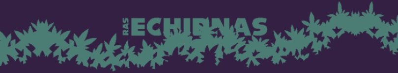 artist banner