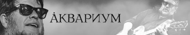 artist banner