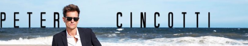 artist banner