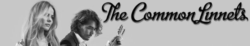 artist banner
