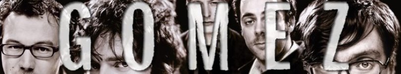 artist banner