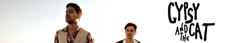 artist banner