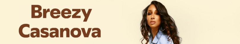 artist banner