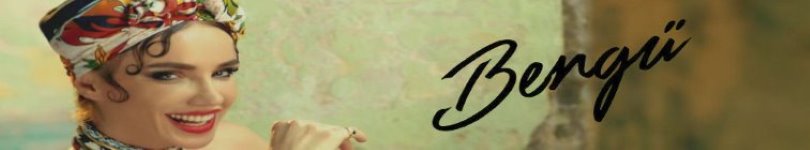 artist banner