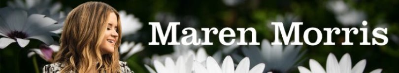 artist banner