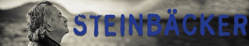 artist banner