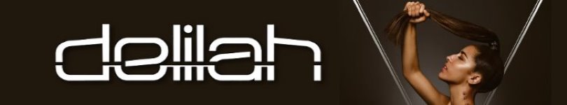 artist banner