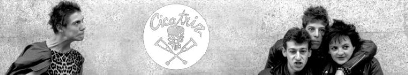 artist banner