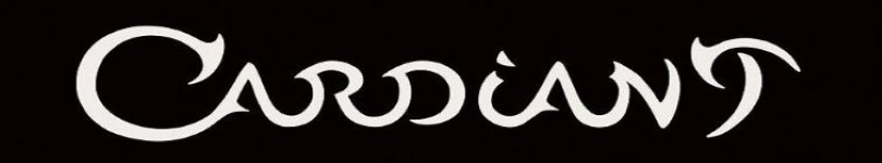 artist banner