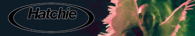 artist banner