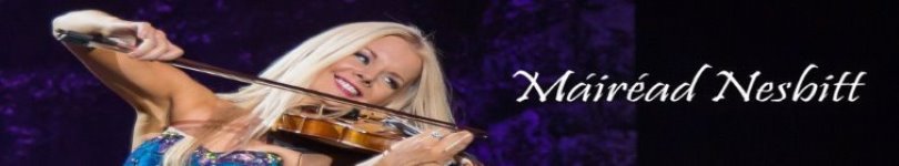 artist banner