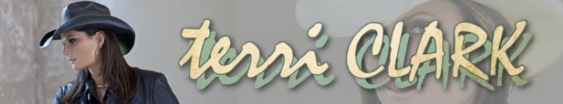 artist banner