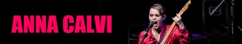 artist banner
