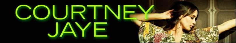 artist banner