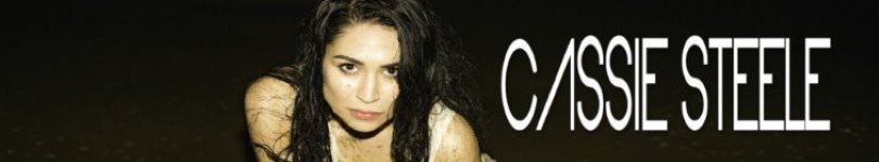 artist banner