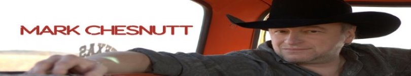 artist banner
